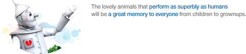 The lovely animals that perform as superbly as humans will be a great memory to everyone from children to grownups.