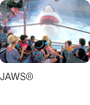JAWS®