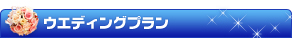 �E�G�f�B���O�v����