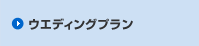 �E�G�f�B���O�v����