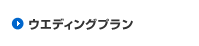 �E�G�f�B���O�v����