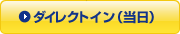 �_�C���N�g�C���i�����j