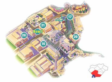 Attractions/Hollywood