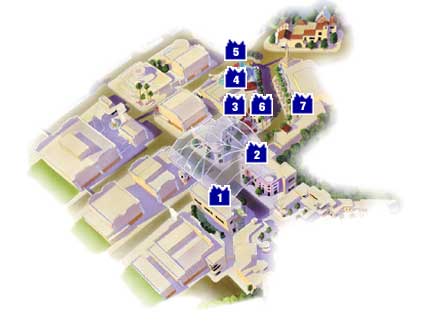 Hollywood MAP