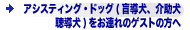 �A�V�X�e�B���O�E�h�b�O�i�ӓ����A����A�������j�����A��̃Q�X�g�̕���