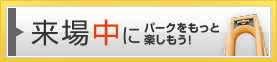 ���ꒆ�Ƀp�[�N�������Ɗy�������I