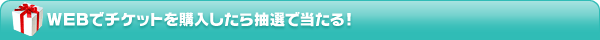 WEB�Ń`�P�b�g���w�������璊�I�œ�����I