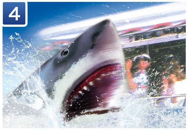 JAWS®