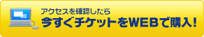 �A�N�Z�X���m�F�����獡�����`�P�b�g��WEB�ōw���I