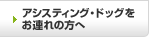 �A�V�X�e�B���O�E�h�b�O�����A��̕���