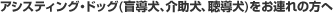 �A�V�X�e�B���O�E�h�b�O�i�ӓ����A����A�������j�����A��̕���