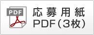 ����p��PDF�i3���j