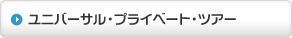 ���j�o�[�T���E�v���C�x�[�g�E�c�A�[