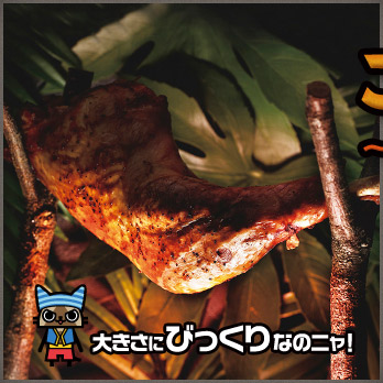 大きさにびっくりなのニャ！