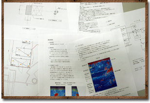 等身大リオレイア希少種構造計画書類