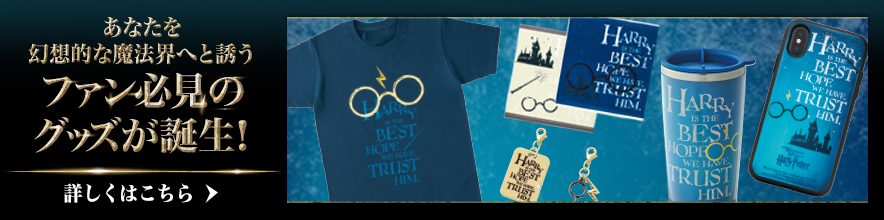 HARRY POTTER™ GOODS