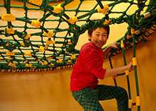 アビーのマジカル・ツリー