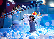 バートとアーニーのワンダー・ザ・シー