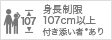 107cm以上 付き添い者あり