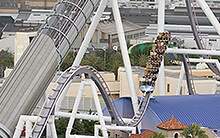 キャメルバック