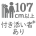 107cm以上 付き添い者あり