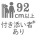 92cm以上 付き添い者あり