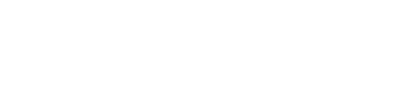 ITEM LINE UP