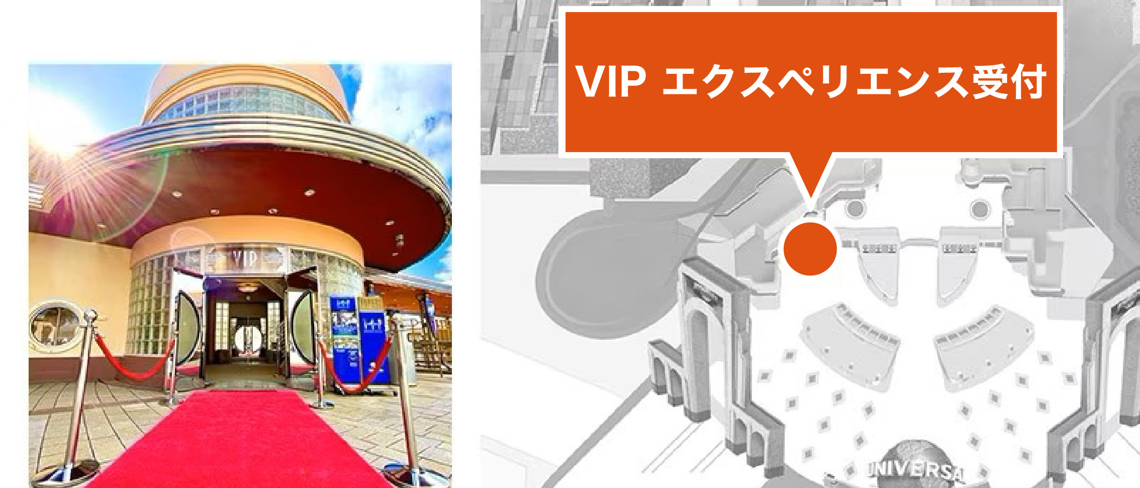 ユニバーサル VIP エクスペリエンス・グループ・ツアー ～ 25周年