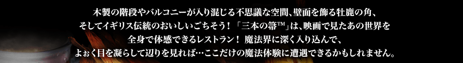 木製の階段やバルコニーが入り混じる不思議な空間、壁面を飾る牡鹿の角、そしてイギリス伝統のおいしいごちそう！ 「三本の箒™」は、映画で見たあの世界を全身で体感できるレストラン！ 魔法界に深く入り込んで、よぉく目を凝らして辺りを見れば…ここだけの魔法体験に遭遇できるかもしれません。