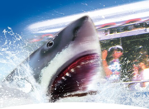 JAWS