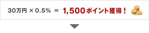 30万円×0.5％＝1,500ポイント獲得！