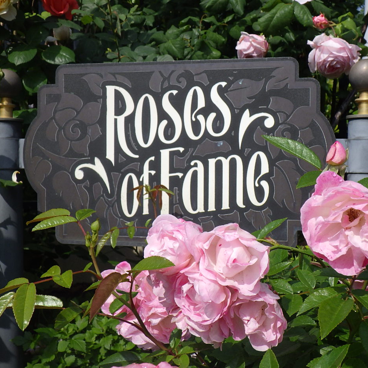 ローズ・オブ・フェイム｜ユニバーサル・スタジオ・ジャパン｜USJ