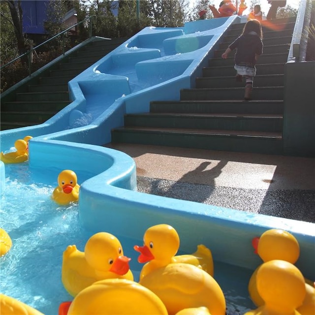 アーニーのラバーダッキー レース ユニバーサル スタジオ ジャパン Usj